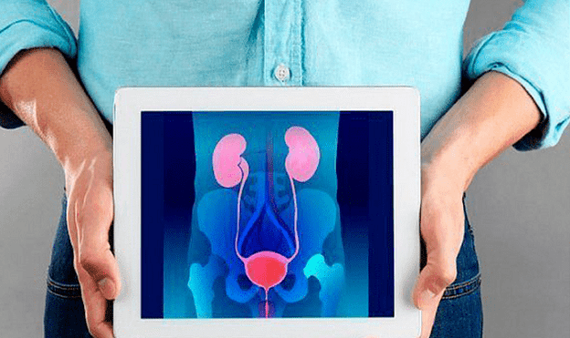 prostatitis - inflammation of the pediatric glands
